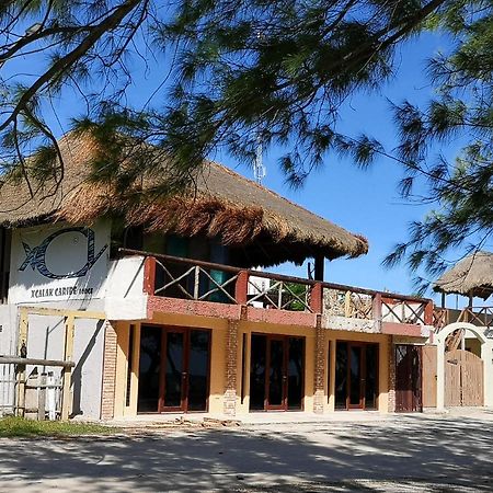 Xcalak Caribe Lodge Экстерьер фото